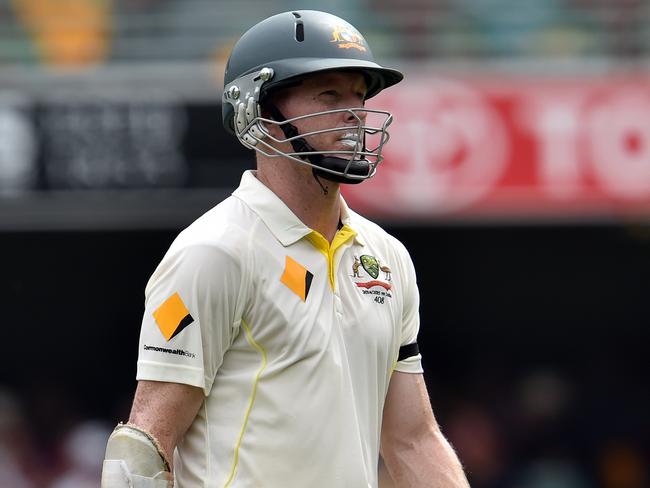 Chris Rogers bounced back with two important half-centuries against India in the second Test.