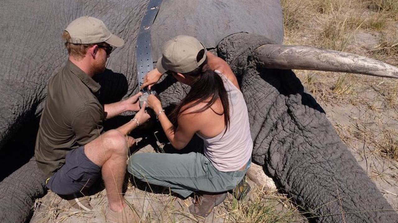 Prince Harry and his wife Meghan Markle in Botswana in 2017. Picture: Instagram @sussexroyal