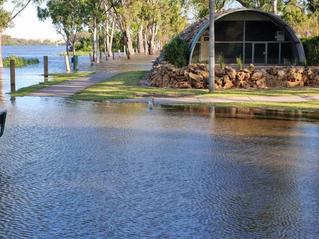 The bunyip cave at Sturt Reserve, Murray Bridge on December 24. Picture: Facebook/Tracy Kirchner