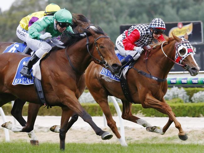 Michelle Payne finishing fourth onboard Akzar in the Kyneton Cup. Picture: Colleen Petch.