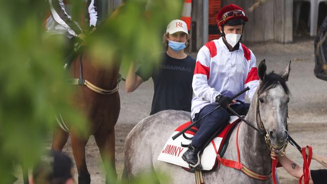 Classique Legend gets the nod by a good few in the team for The Everest. Picture: Mark Evans – Getty Images