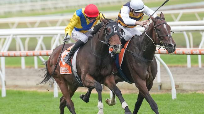 Right You Are (left) can boost his Caulfield Cup chances with a strong showing in the Group 1 Underwood Stakes at Caulfield. Picture: Racing Photos via Getty Images