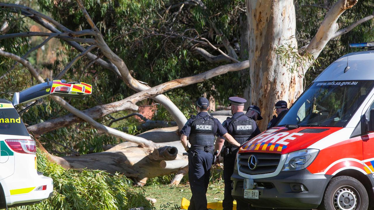 Woman killed by falling tree at university soccer ground The Advertiser