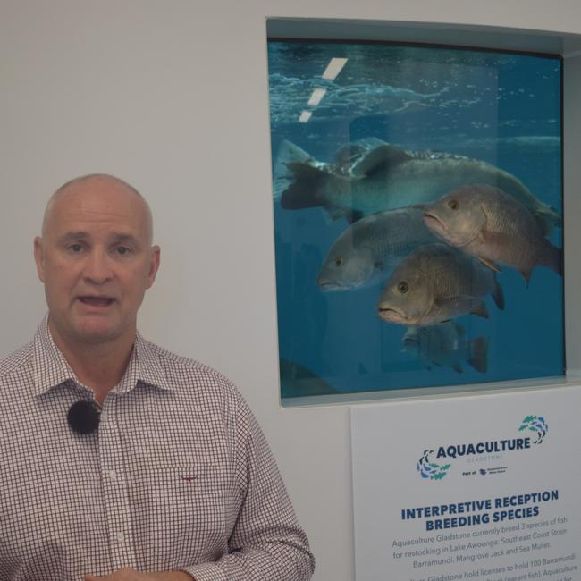 Gladstone MP Glenn Butcher said the launch of Aquaculture Gladstone will accelerate future development and expansion of CQ’s aquaculture sector. Picture: Nilsson Jones