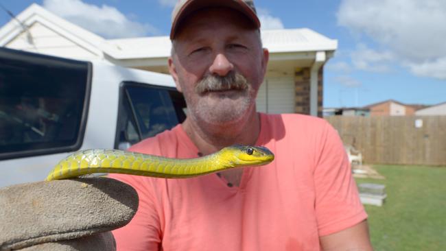 Former snake catcher Anthony Zink avoided convcitions on all charges. Photo: Max Fleet / NewsMail