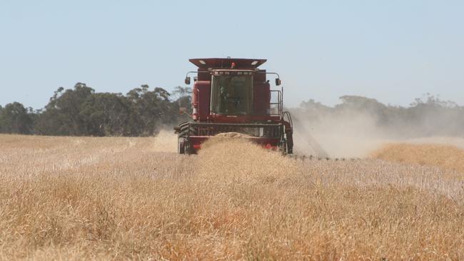 Cruel blow: The Bureau of Meteorology says this weekend’s hot temperatures are a blow to grain growers.