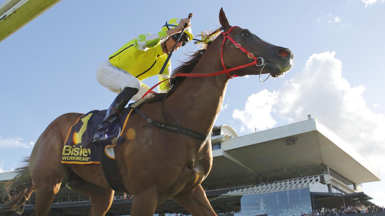 Nash Rawiller has ridden Eduardo in all five of his wins for Joe Pride, including The Galaxy in March. Picture: Getty Images