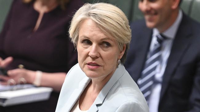 Environment Minister Tanya Plibersek in question time on Tuesday. Picture: NewsWire / Martin Ollman