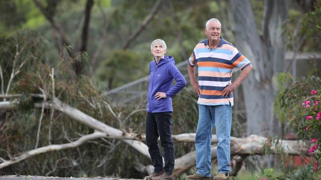 Christine and John Mudge lost trees and power at their Eden Hills home. The road in front of their house was still not clear of debris on Sunday. Picture: Dean Martin