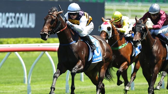 Perfumist is looking to make it four wins in a-a-row at Rosehill. Picture: Getty Images