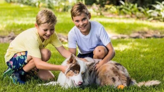 The Durman children with their beloved Bowie. Picture: supplied