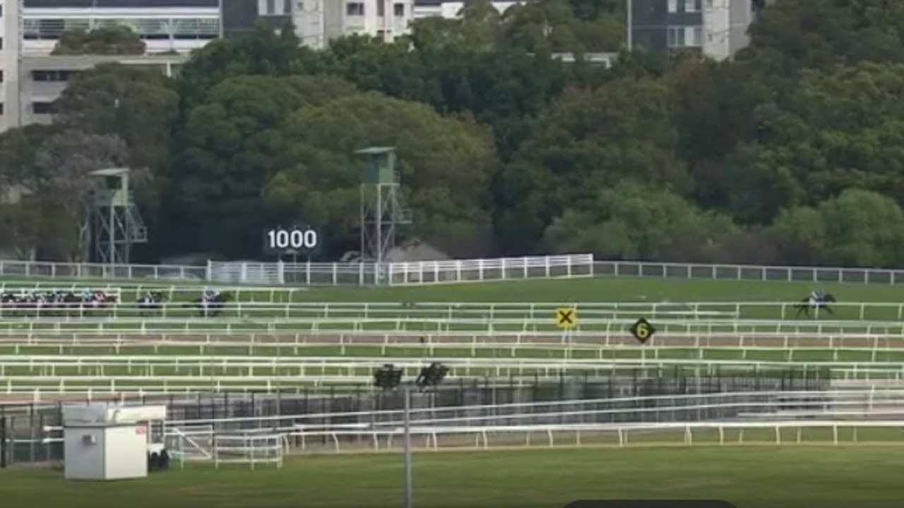 Supplied Editorial Pride of Jenni leads the JRA Plate at Randwick on Saturday. Photo:  Sky Racing.