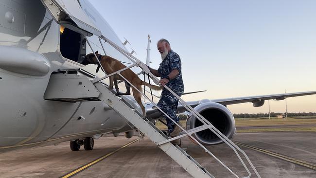 Military Working Dog Xal climbs on board a RAAF P-8A Poseidon aircraft at RAAF Base Townsville with 27SQN Kennel Manager Sergeant Tony Weiler. Picture: WOFF Andrew Ribbans