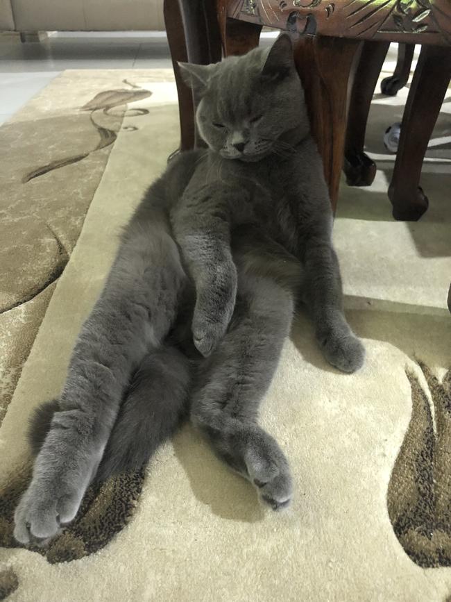 Ash Chilling on Sunday morning. Picture: Effie D’Arrigo