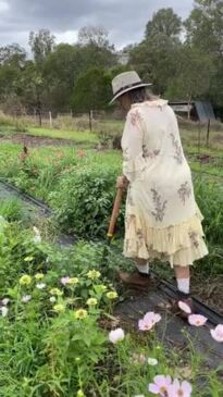 Pick your own flowers Gympie