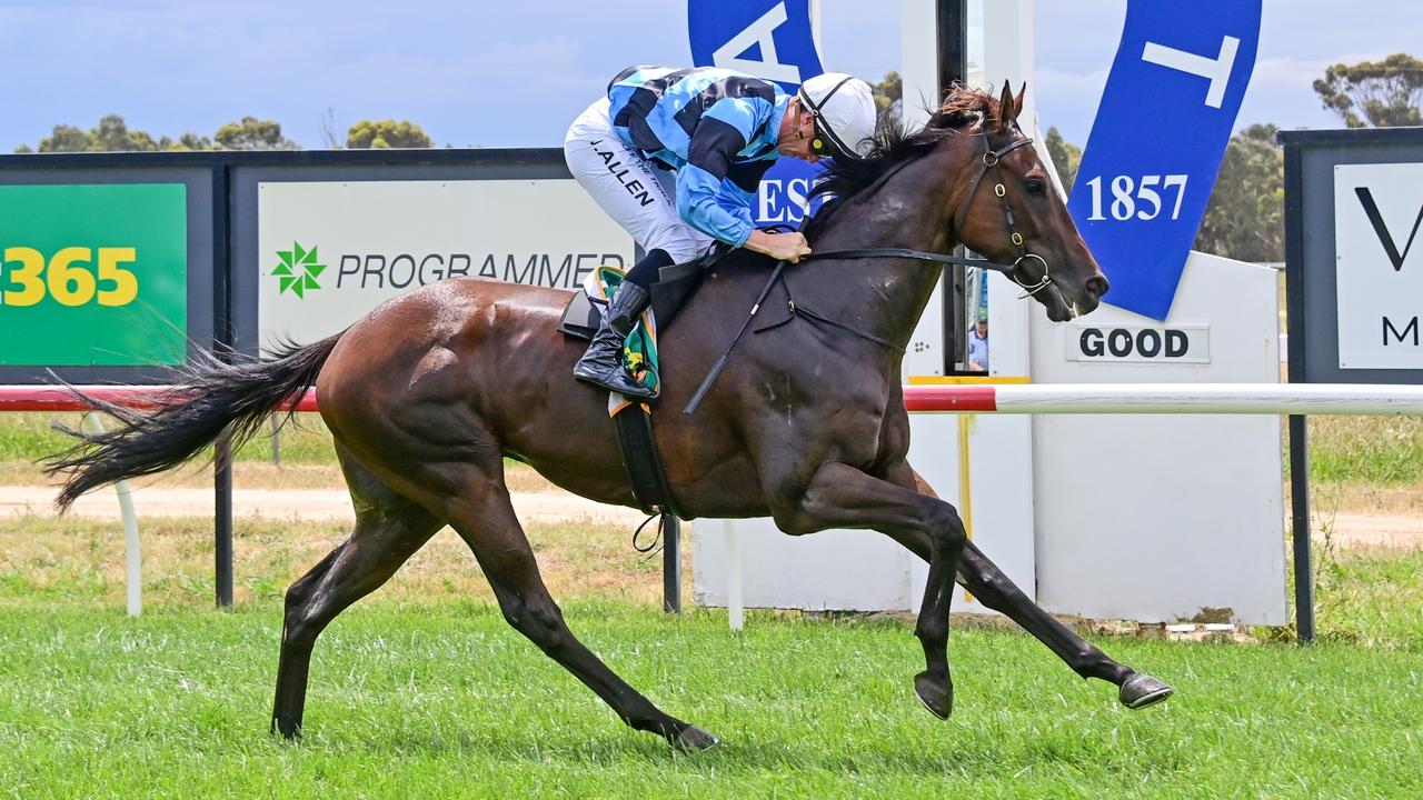 Ararat tips: Allen to Sea the way to a win