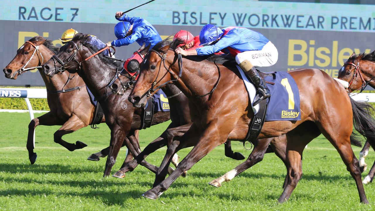 Lost And Running scored a tough win in the Premiere Stakes last start. Picture: Grant Guy