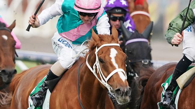 Finche has been backed into favouritism in the Melbourne Cup. Picture: AAP