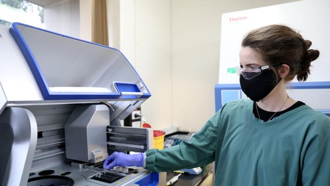 Water quality analyst Claire Gorman tests for signs of Covid-19 at Sydney waters Lab in West Ryde. Picture: NCA NewsWire / Damian Shaw