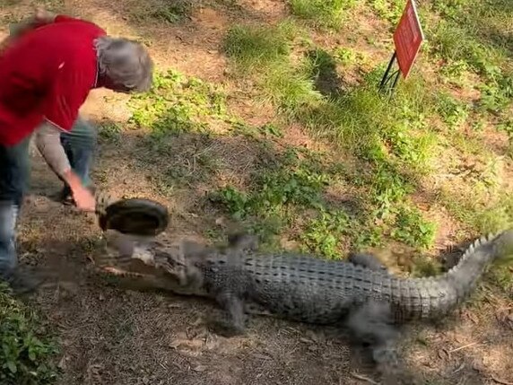 VIDEO: Publican takes on croc with frying pan