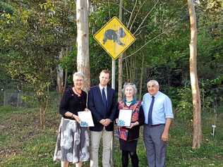 Lismore Mayor Jenny Dowell, NSW Environment minister Mark Speakman, Friends of the Koala president Lorraine Vass and Lismore MP Thomas George at the announcement of $200,000 in government grants to help protect Lismore's koala population. Photo: contributed. Picture: contributed