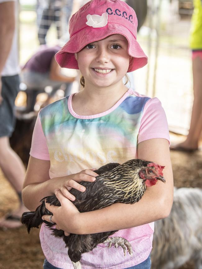 Makenzie Bowman with a chicken at the Animal Nursery. Toowoomba Royal Show. Friday, March 31, 2023. Picture: Nev Madsen.