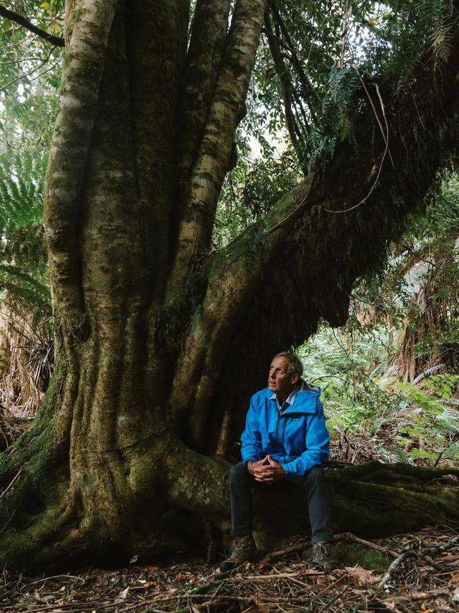 Former Greens leader and environmentalist Bob Brown was arrested during an anti-logging protest in the Styx Valley on February 19.