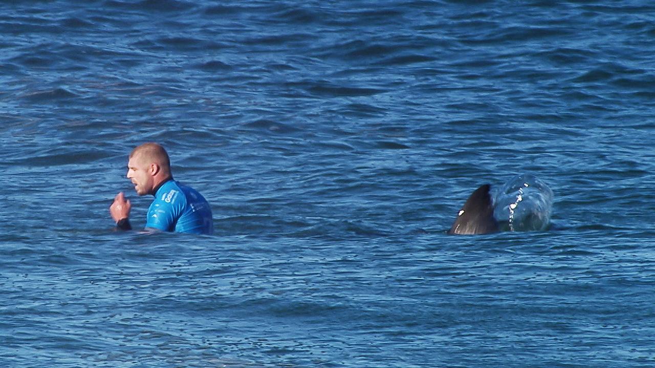 Mick Fanning shortly before being attacked by a shark during the Final of the JBay surf Open in Jeffreys Bay. AFP PHOTO / WORLD SURF LEAGUE / HO /