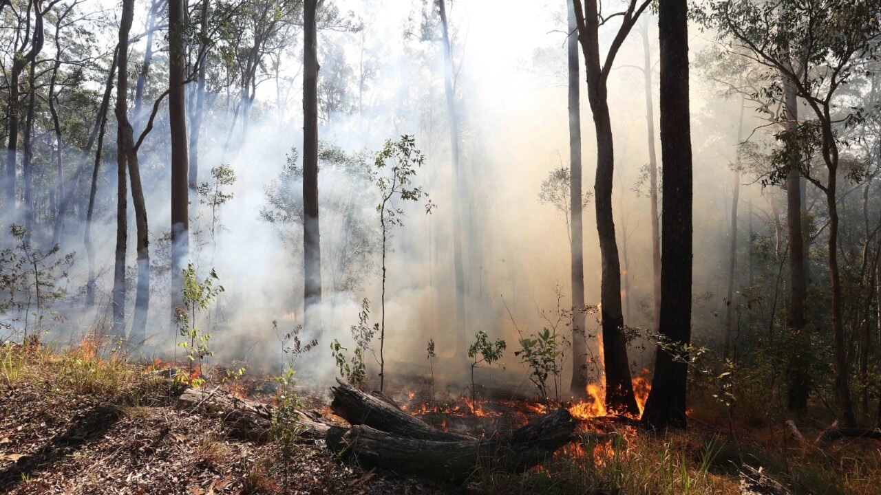 Brisbane records the worst air quality among the world’s major cities ...