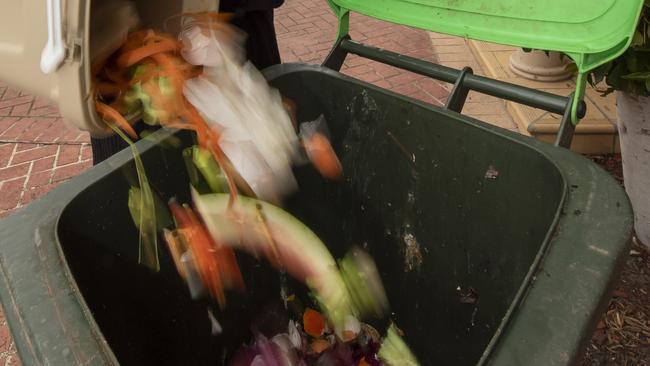 Green waste bins could be rolled out in Bundaberg. Picture: Andy Brownbill