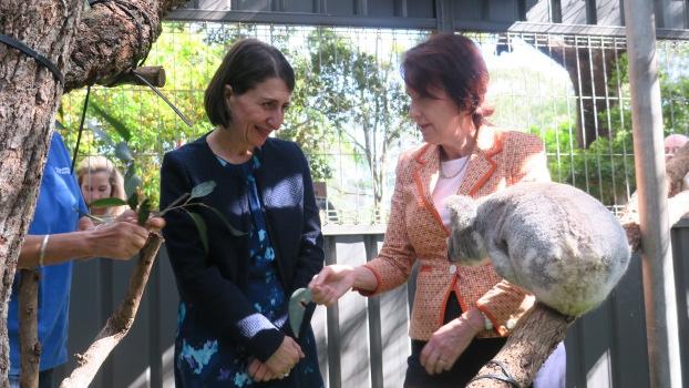 Premier Gladys Berejiklian and Leslie Williams at the Port Macquarie Koala Hospital.