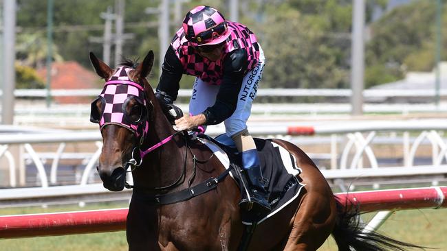 Mosshiki could spring a surprise at good odds. Picture: Trackside Photography