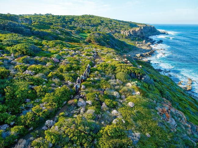 EMBARGO FOR WISH 01 AUGUST 2024. FEE MAY APPLY.Cape to Cape Track, Margaret River, WA. Photo: Luke Tscharke