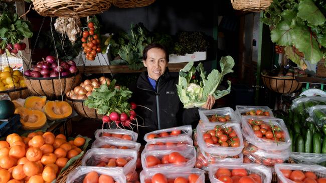 Chheav Sun running Sun's Fresh Farm at the Urban Farm Precinct in Horsley Park. Picture: Simon Bullard