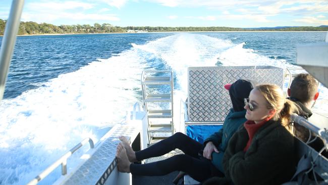 Speeding head first into the Pacific Ocean to visit some sea faring mammal friends. Picture: Nicholas Eagar