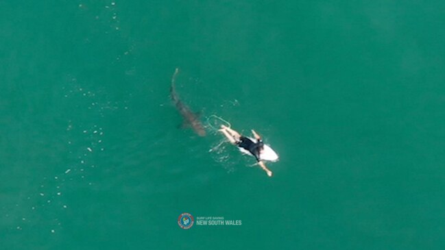 Pro surfer Matt Wilkinson has had a close encounter with a shark at Ballina today