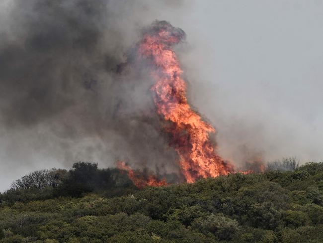 A forest fire near Alexandroupoli, northern Greece. Picture: AFP