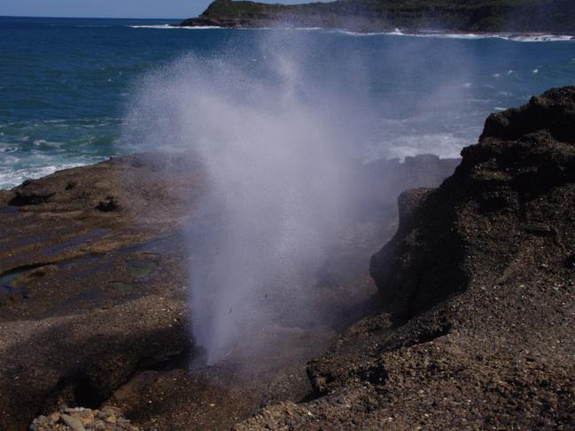 The notorious blowhole.