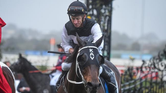 Blake Shinn reunites with First Immortal at The Valley on Saturday. Picture: Reg Ryan-Racing Photos via Getty Images