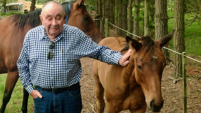 Allen with one of the foals he bred on a farm at Bowral.