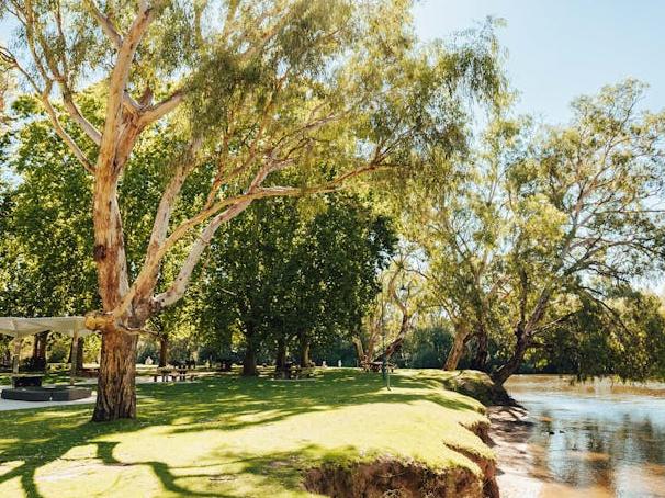 The incident allegedly occurred at Noreuil Park Foreshore, South Albury. Picture: Supplied