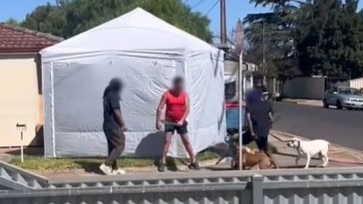 A man wields machete after being confronted by two men at his beverley adelaide home on Monday. Picture: Supplied Picture: Supplied