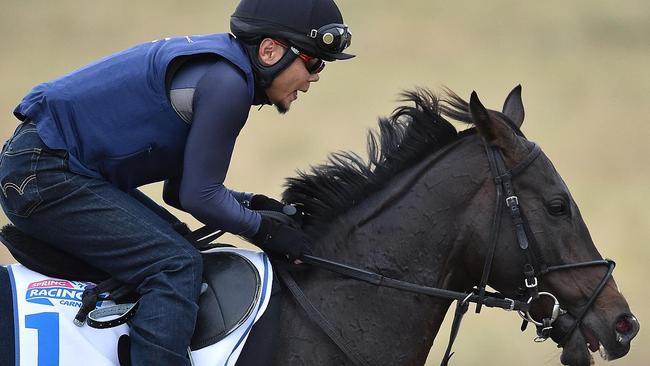 Fame Game drifts as punters chase value