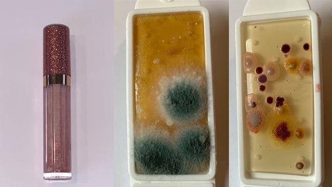 The test results for a lip gloss, showing mould and yeast on the left and bacteria on the right. Picture: Jam Press