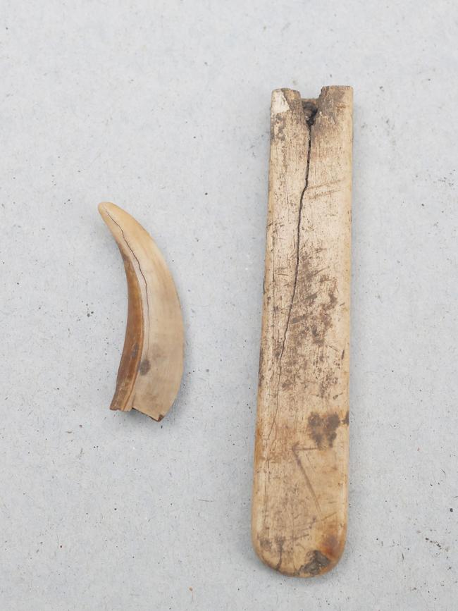 Tooth and an ivory handle from cutlery. An archaeological dig at the vacant site adjacent to the Hope &amp; Anchor pub in Hobart has uncovered some treasures from years gone by. Picture: Nikki Davis-Jones