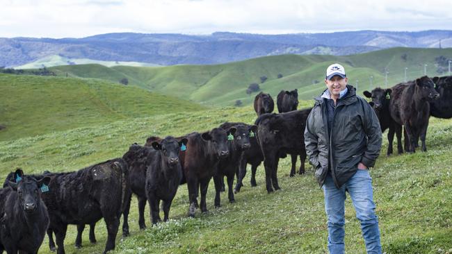 Tom Lawson runs Paringa Livestock at Murrindindi with his wife Olivia. Picture: Zoe Phillips