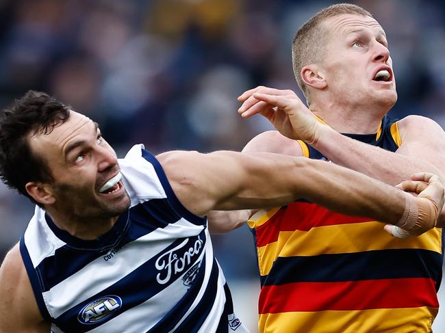 GEELONG, AUSTRALIA - MAY 06: Jonathon Ceglar of the Cats and Reilly O'Brien of the Crows compete in a ruck contest during the 2023 AFL Round 08 match between the Geelong Cats and the Adelaide Crows at GMHBA Stadium on May 6, 2023 in Geelong, Australia. (Photo by Dylan Burns/AFL Photos via Getty Images)