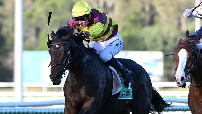 Numerian wins the Hollindale Stakes. Picture: Grant Peters - Trackside Photography