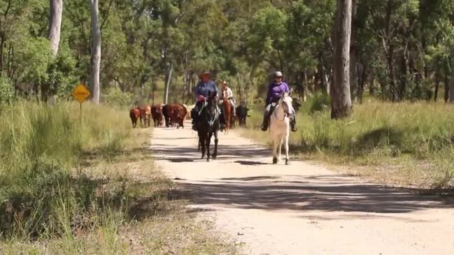 Scenes from the 2024 Eidsvold Cattle Drive