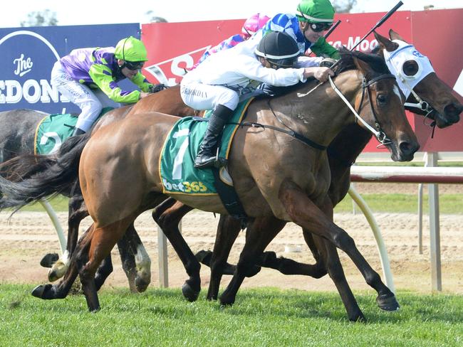 I Am Sugoi ridden by Liam Riordan wins the Think Water Echuca Maiden Plate at Echuca Racecourse on August 26, 2023 in Echuca, Australia. (Photo by Ross Holburt/Racing Photos via Getty Images)